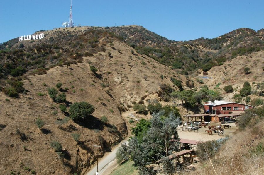 Los Angeles: Mulholland Trail Horseback Riding Tour - Meeting the horses and getting ready to ride