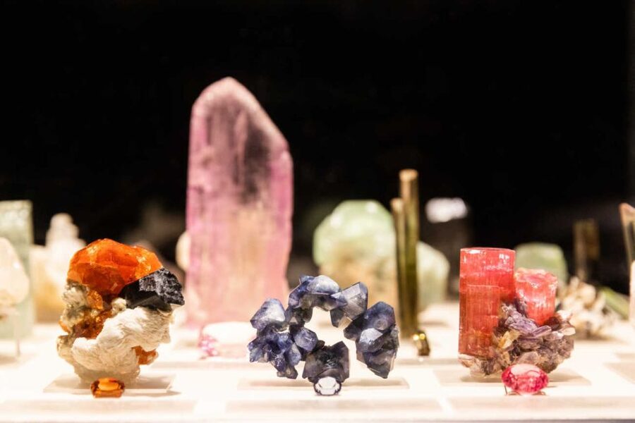 Los Angeles: Natural History Museum of LA Entry Ticket - Key points to know before you go