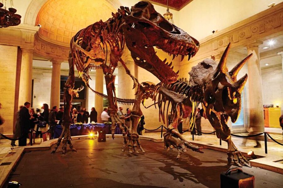 Los Angeles: Natural History Museum of LA Entry Ticket - Why the dinosaur halls are worth your time
