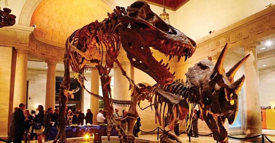 Los Angeles: Natural History Museum of LA Entry Ticket - The Gem and Mineral Hall is a quieter change of pace