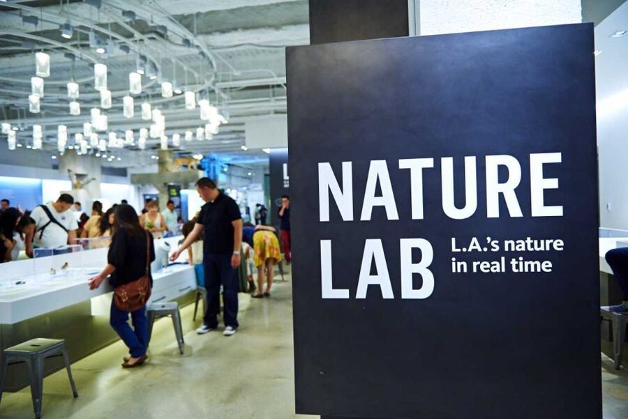 Los Angeles: Natural History Museum of LA Entry Ticket - Age of Mammals covers 65 million years