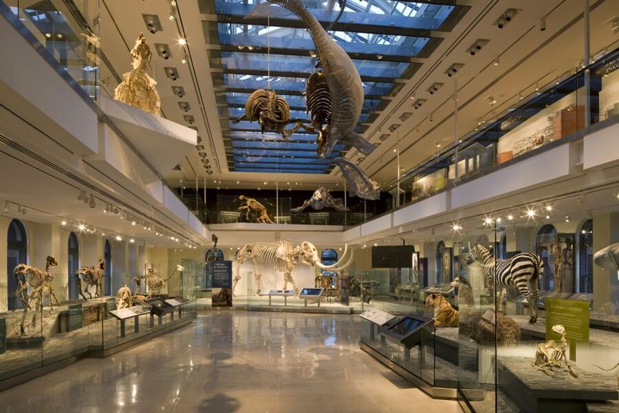 Los Angeles: Natural History Museum of LA Entry Ticket - Is the $18 ticket good value?