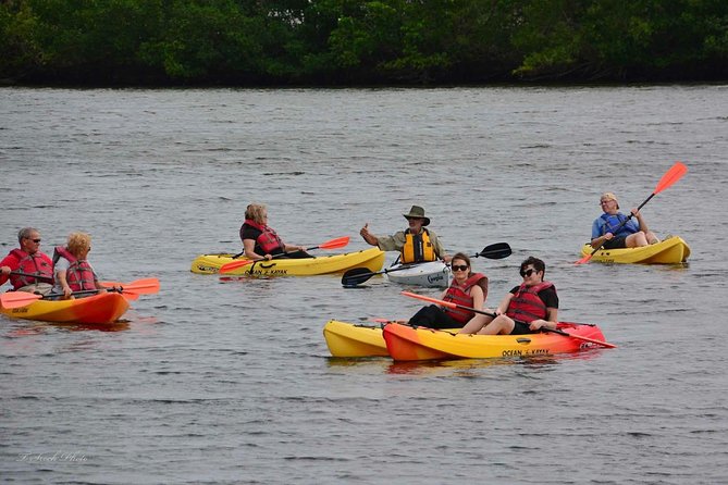 Lovers Key Guided Eco Tour-Mangrove Estuary - Why the Lovers Key estuary makes a fine wildlife outing