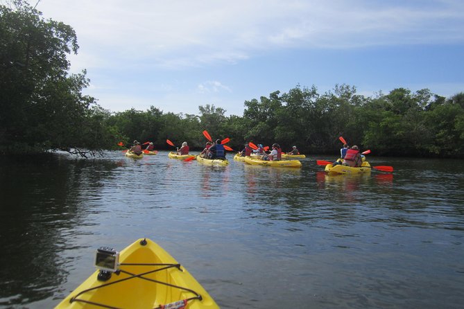 Lovers Key Guided Eco Tour-Mangrove Estuary - Is $67 a good value?