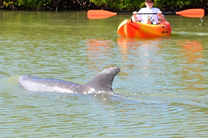 Lovers Key Guided Eco Tour-Mangrove Estuary - What happens from 8720 Estero Boulevard to the water