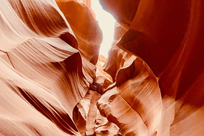 Lower Antelope Canyon and Horseshoe Bend Day Tour with Lunch - What the $160.65 price includes
