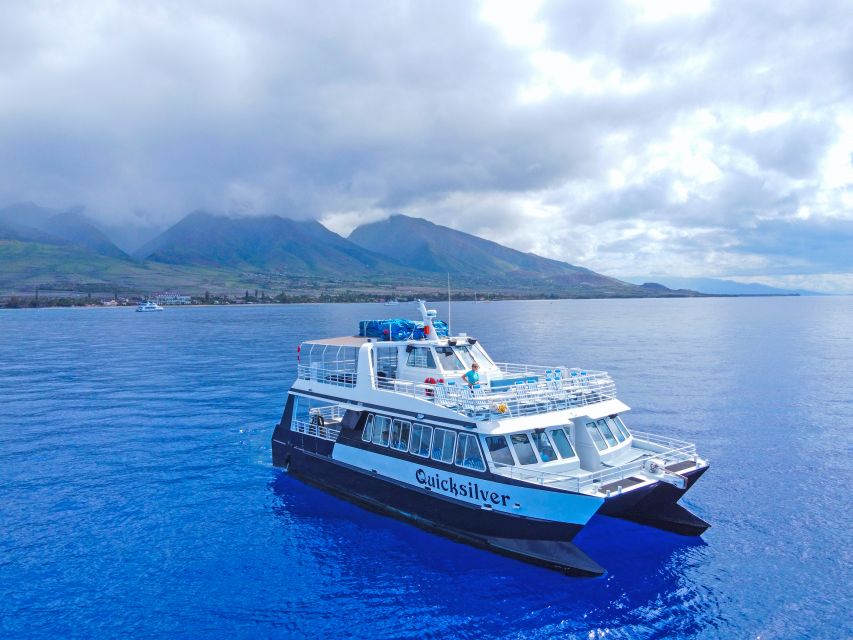 Ma'alaea Harbor: Whale Watching Tour Aboard Power Catamaran - What the two-hour route feels like