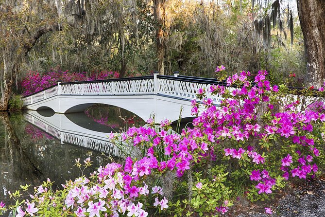 Magnolia Plantation Admission & Tour with Transportation from Charleston - The narrated tram through swamp and rice fields