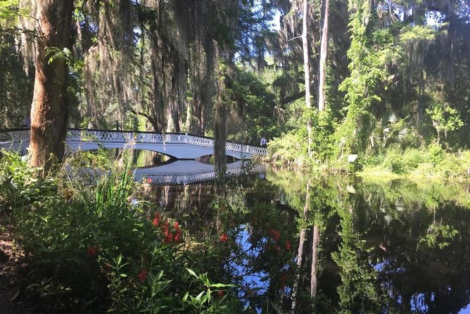 Magnolia Plantation Admission & Tour with Transportation from Charleston - The 600-acre setting and its difficult past