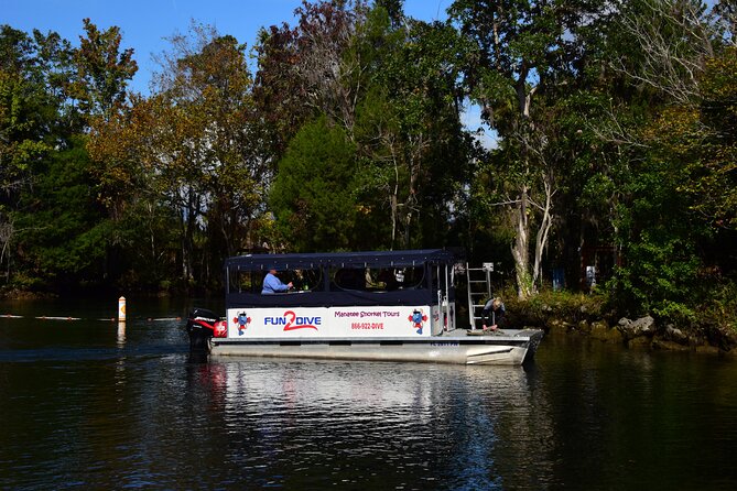 Manatee Snorkel Small Group Tour - What the three-hour Crystal River trip is really like