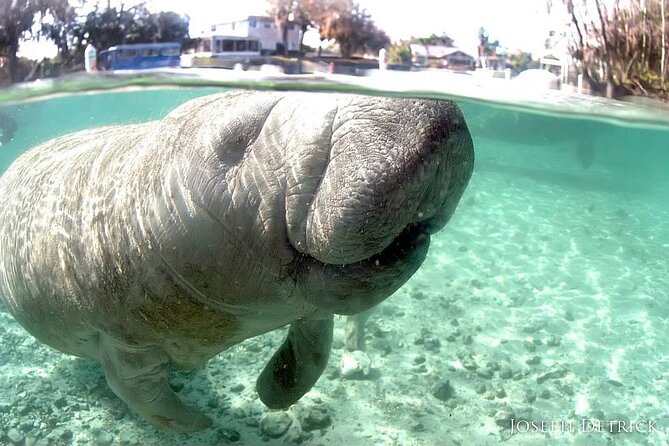 Manatee Snorkel Small Group Tour - Getting fitted for a wetsuit and mask