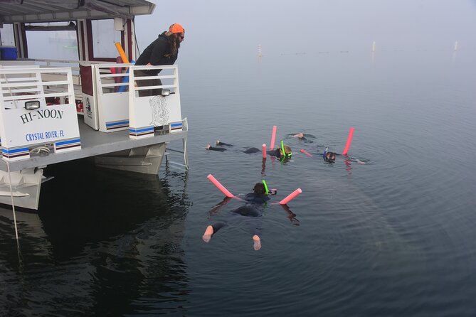 Manatee Snorkel Small Group Tour - What the $95 price includes