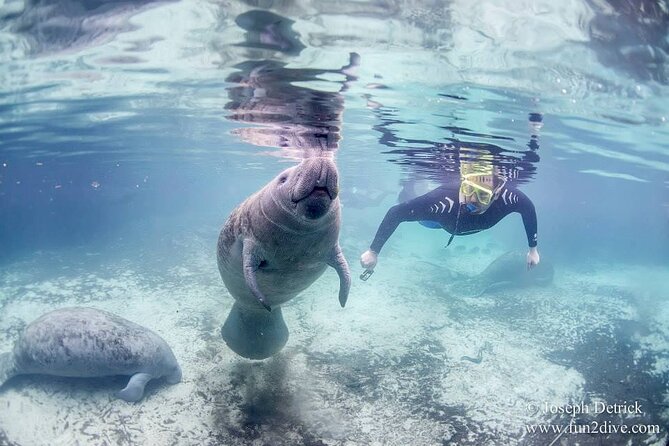 Manatee Snorkel Small Group Tour - The boat ride through the wildlife refuge