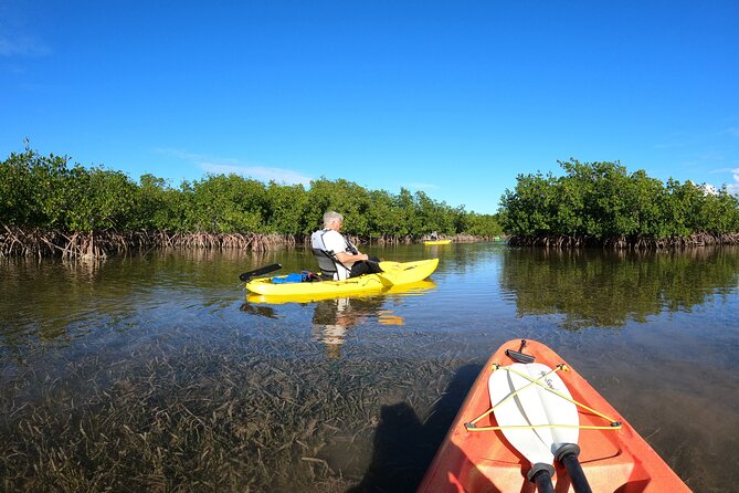 Mangrove Tunnel Kayak Adventure in Key Largo - Meeting at Florida Bay Outfitters in Key Largo