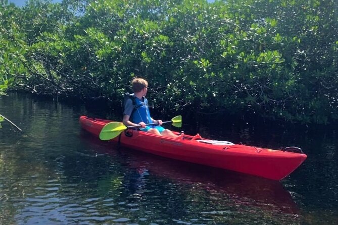 Mangrove Tunnel Kayak Adventure in Key Largo - Paddling through South Salt Creek and the mangroves