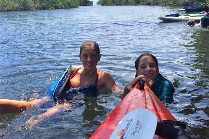Mangrove Tunnel Kayak Adventure in Key Largo - Wildlife you might see beneath the roots