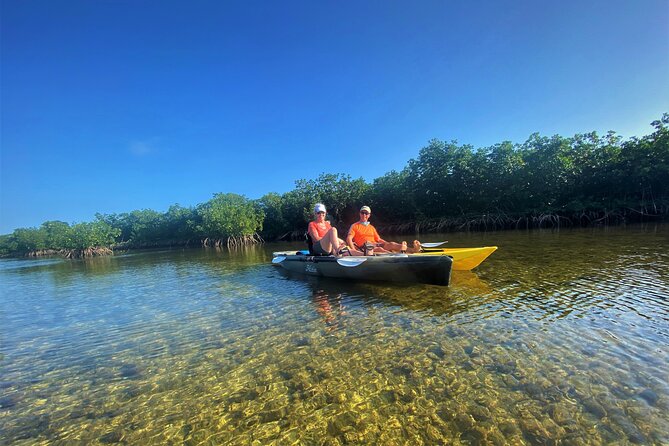 Mangrove Tunnel Kayak Adventure in Key Largo - The optional snorkeling stop