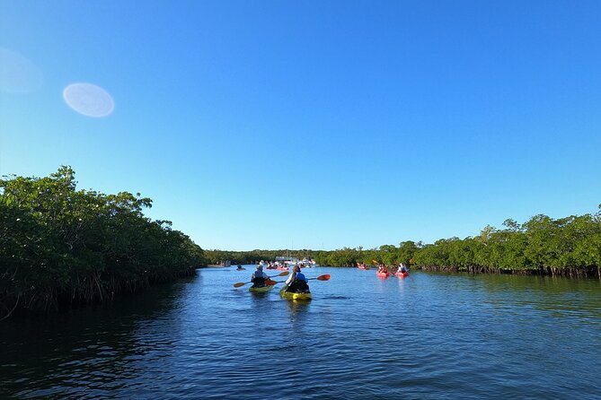Mangrove Tunnel Kayak Adventure in Key Largo - Heat, mosquitoes, and what to pack