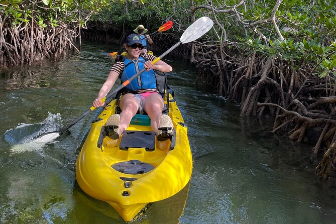 Mangrove Tunnel Kayak Adventure in Key Largo - How much value do you get for $68?