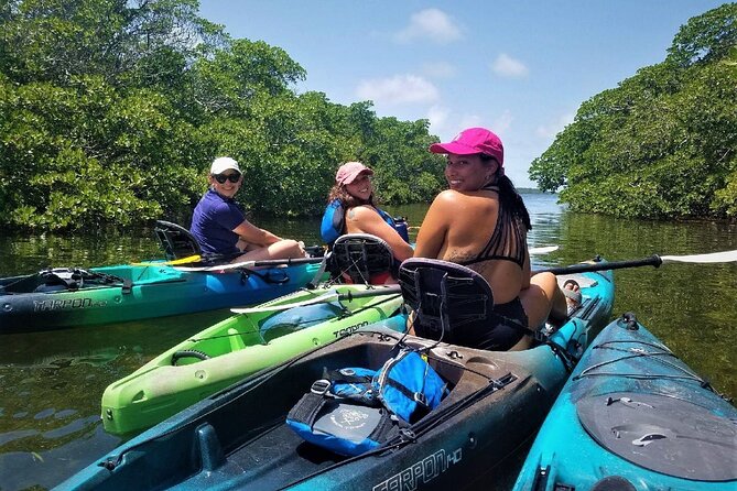 Mangrove Tunnel Kayak Adventure in Key Largo - Getting the right kayak