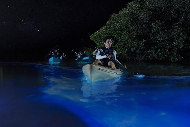 Mangrove Tunnels, Dolphins, Manatee Tour #1 Rated in Cocoa Beach - Your guide shapes the experience