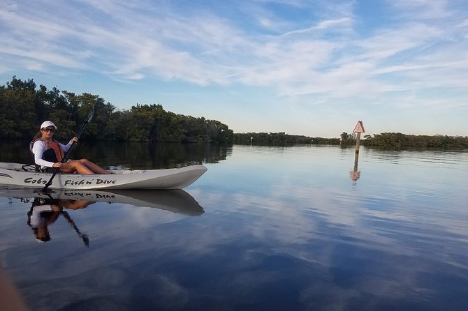 Mangrove Tunnels, Dolphins, Manatee Tour #1 Rated in Cocoa Beach - Who should book this Cocoa Beach tour?