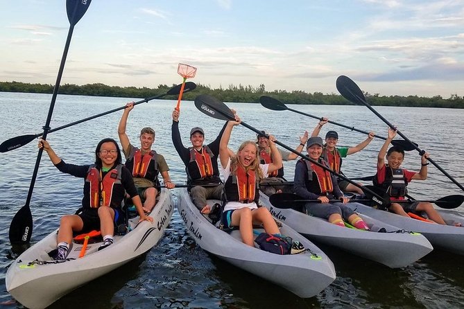 Mangrove Tunnels, Dolphins, Manatee Tour #1 Rated in Cocoa Beach - A few practical cautions before you go