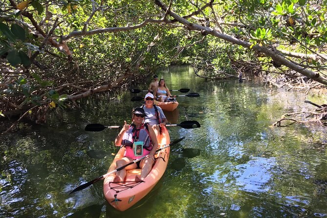 Mangroves and Manatees - Guided Kayak Eco Tour - Starting from Tavernier Creek, not a motorboat