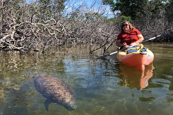Mangroves and Manatees - Guided Kayak Eco Tour - Guides who shape the outing