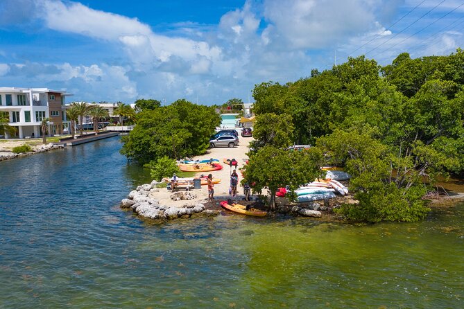 Mangroves and Manatees - Guided Kayak Eco Tour - How hard is it for beginners and families?