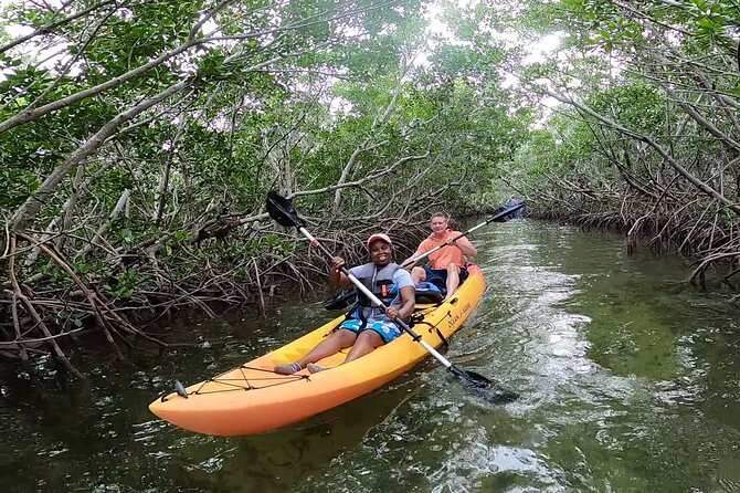 Mangroves and Manatees - Guided Kayak Eco Tour - Is $69 a fair price?