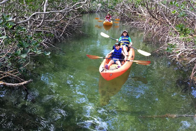 Mangroves and Manatees - Guided Kayak Eco Tour - Who should book this Key Largo kayak tour?