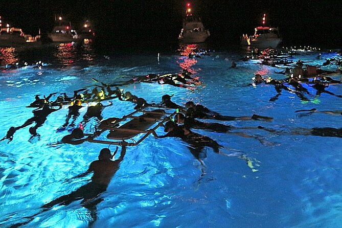Manta Magic: Small-Group Manta Ray Night Snorkel in Kailua Kona - Key points to know before you book