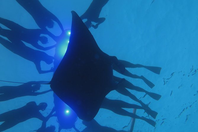 Manta Magic: Small-Group Manta Ray Night Snorkel in Kailua Kona - Why the small boat cuts both ways