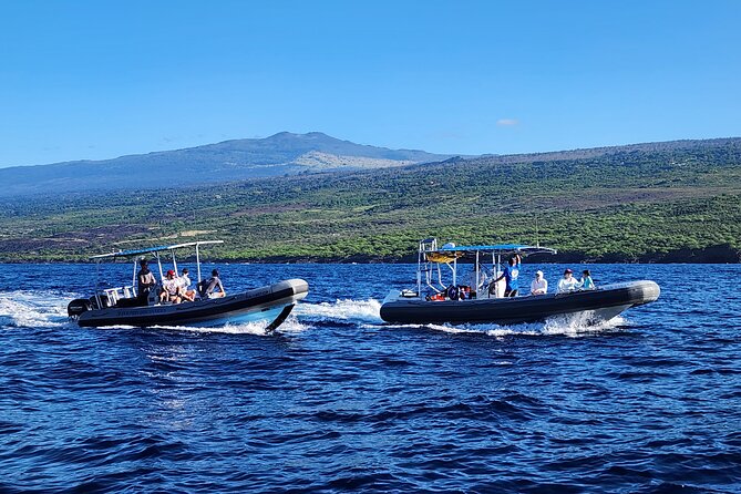 Manta Ray Night Snorkel at Kona, Big Island - Children can participate, but nighttime changes the equation