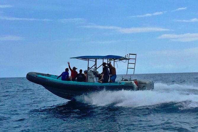 Manta Ray Night Snorkel at Kona, Big Island - The $44 price and what it really covers
