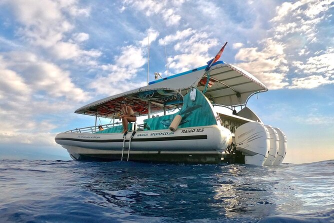 Manta Ray Night Snorkel from Kona — Small Group - What the manta encounter feels like