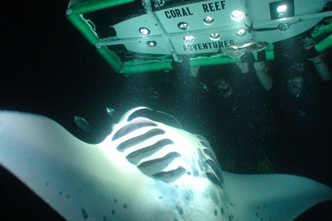 Manta Ray Night Snorkel Kona - Coral Reef Snorkel Adventures - The small Zodiac-style boat: intimate but lively
