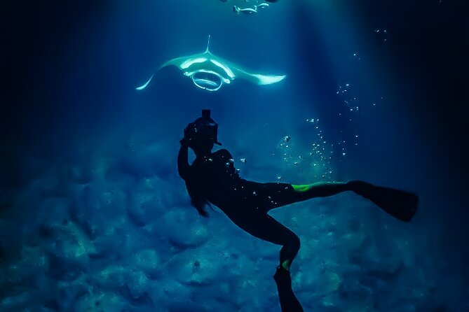 Manta Ray Night Snorkel Tour in Kailua-Kona, Big Island - The price and what you get for $125