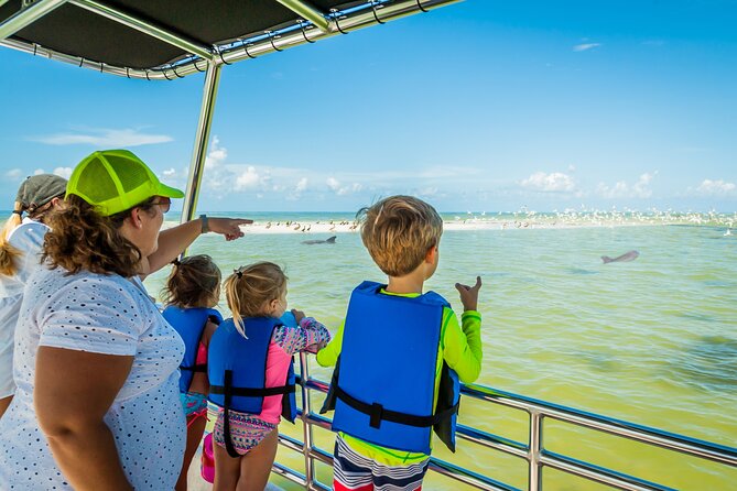 Marco Island Wildlife Sightseeing and Shelling Tour - Quick take: what makes this boat trip worthwhile