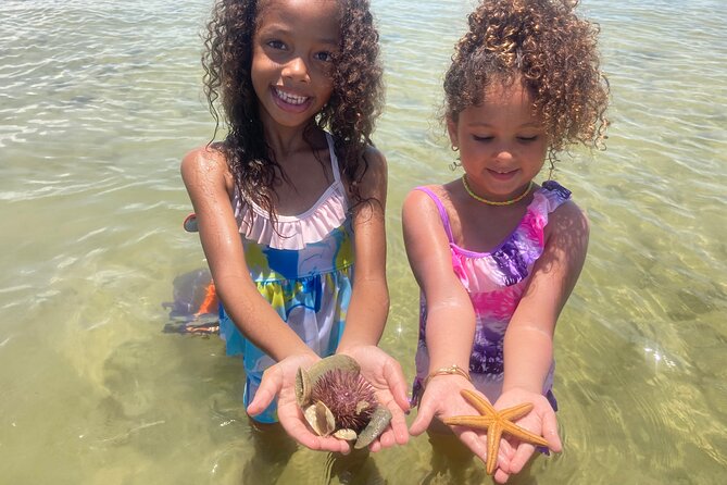 Marco Island Wildlife Sightseeing and Shelling Tour - Shelling on a quiet island beach