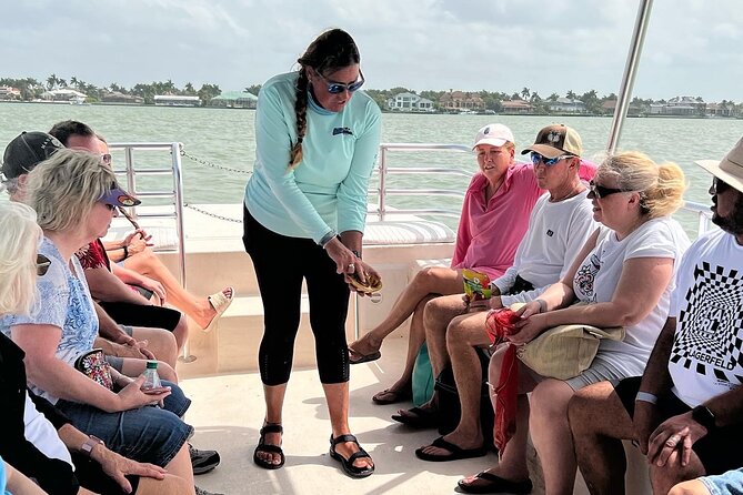 Marco Island Wildlife Sightseeing and Shelling Tour - Value, comfort, and what to bring