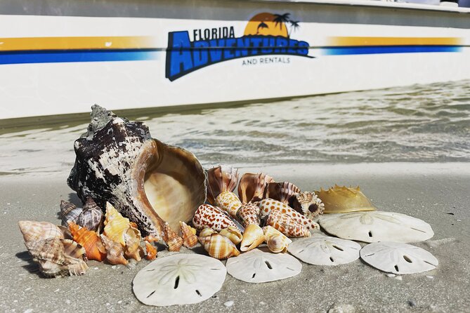 Marco Island Wildlife Sightseeing and Shelling Tour - Mangroves, open water, and the route toward Cape Romano