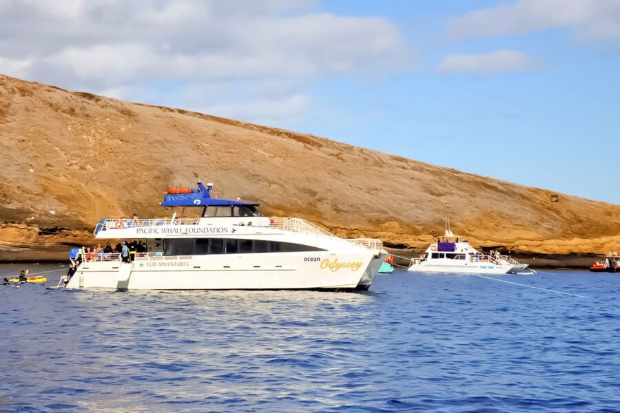 Maui: Eco-Friendly Molokini & Turtle Town Tour with Meals - Who will enjoy this most