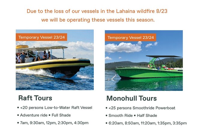 Maui Eco-Raft Tour: Eye-Level Whale or Dolphin Watching - Lahaina - Why the low raft changes whale watching