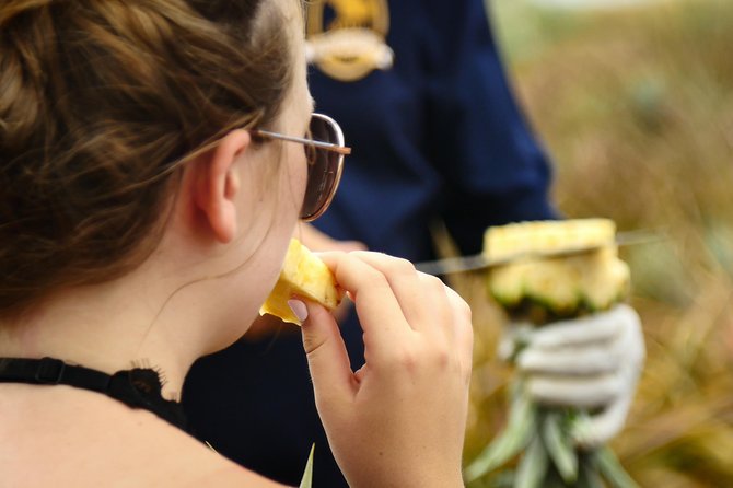 Maui Pineapple Farm Tour in Haliimaile - Practical details that affect your day