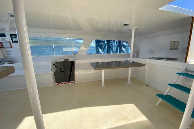 Maui Premium Sunset Dinner Cruise from Ka’anapali Beach - Sunset views, music, and the evening mood