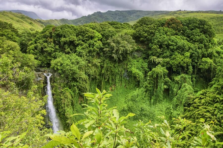 Maui: Small-Group Road to Hāna Sightseeing Tour - Key points to know before booking