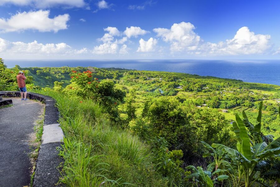 Maui: Small-Group Road to Hāna Sightseeing Tour - Why letting someone else drive matters on the Road to Hāna