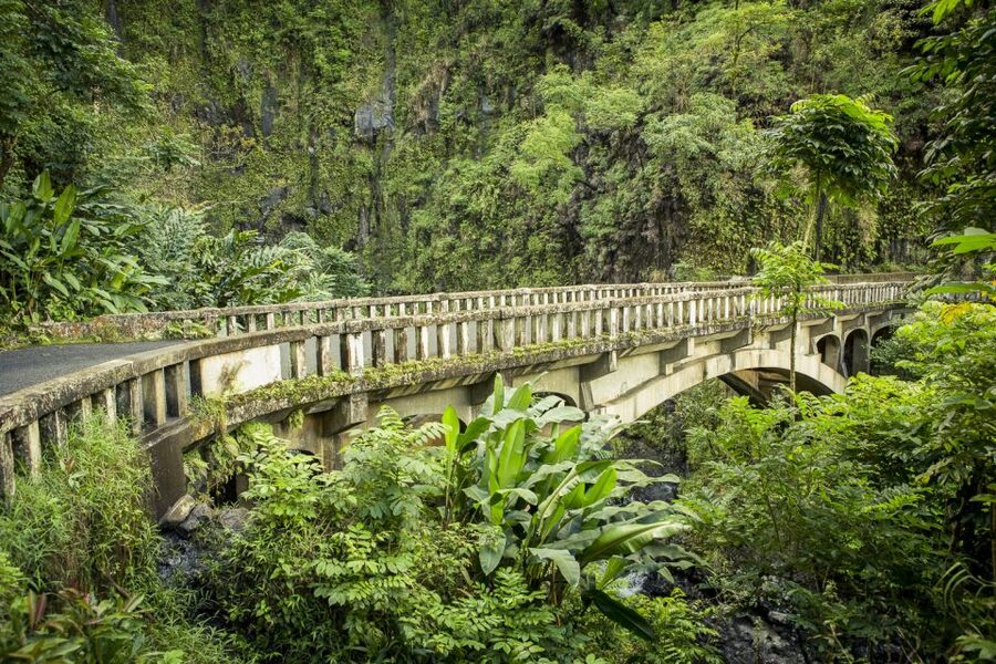 Maui: Small-Group Road to Hāna Sightseeing Tour - Waterfalls, black sand, and the best chance to swim